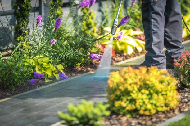 Best Pool Deck Cleaning  in Evansville, IN
