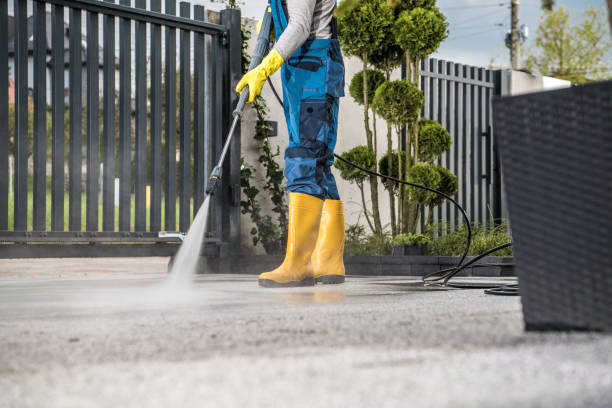 Best Sidewalk and Walkway Cleaning  in Evansville, IN